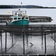 Atlantic salmon jumps in a Cooke Aquaculture farm cage near Blacks Harbour, New Brunswick, Canada. Image: AP/Robert F. Bukaty
